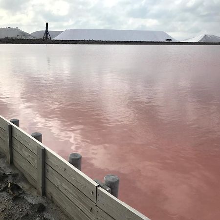 Le Clos Des Vignes Junas Εξωτερικό φωτογραφία
